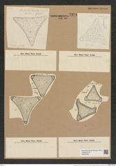 Triceratium blandum Witt. (de-Toni-Nr.: Genus 140, Species 3885) Zeichnungen Sammlung Grunow Nr. 7374 (NHMW-BOT-W0376438)